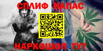 прущие крисы Нальчик